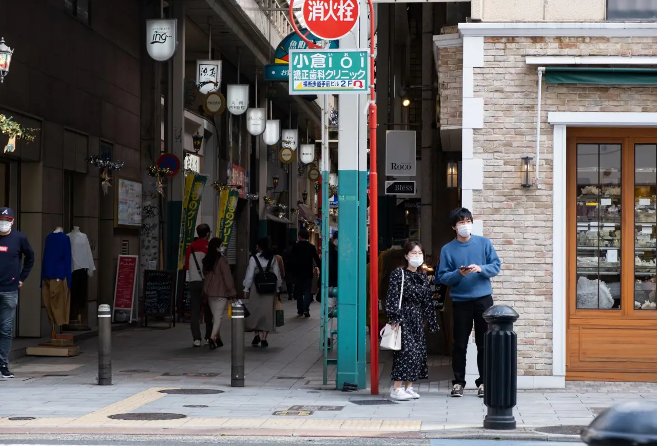 供应链管理软件光盘在企业招标流程中的技术整合方案