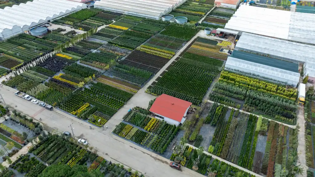 广州市智汇诚信息科技V9采购管理软件供应商评估模块功能详解