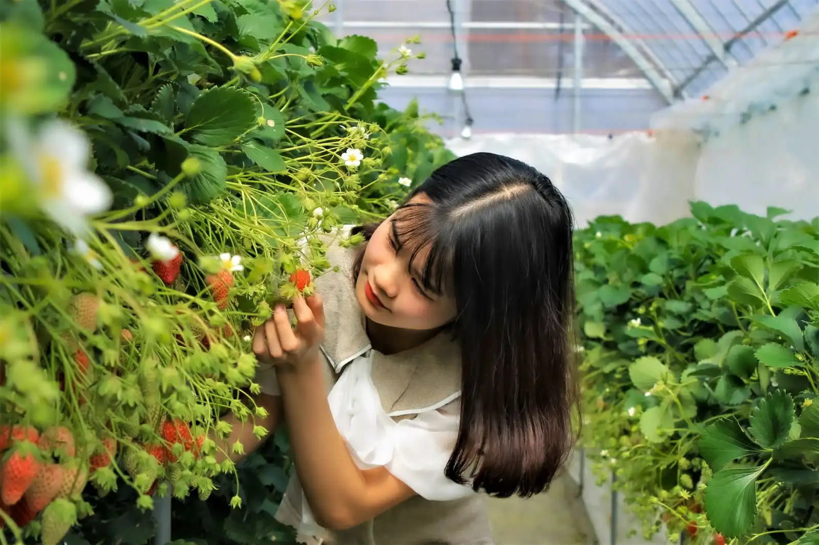 2025年供应链管理软件光盘技术升级趋势与选型要点